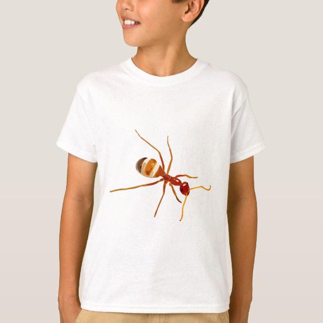 T-shirt Il est pour Miel Pot Ant (Devant)