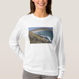 T-shirt Îles Falkland, Malouines occidentales, Saunders
