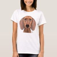 Illustration Dachshund Plain