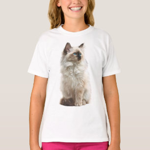 T-shirt Illustration de chat Ragdoll aux yeux bleus pour e