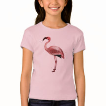 Illustration de cru de Flamant rose
