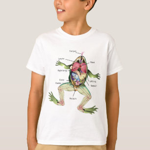 T-shirt Illustration de l'anatomie de la grenouille
