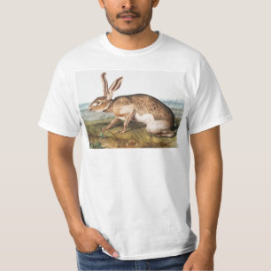 T-shirt Illustration de lapin Lièvre texan (Lepus Texianus