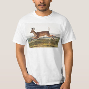 T-shirt Illustration du cerf à queue longue (Cervus leucur