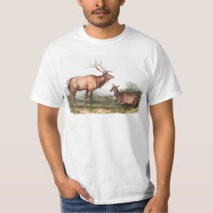 T-shirt Illustration du wapiti américain (Cervus Canadensi