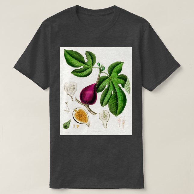 T-shirt Illustration Fig Ficus carica de la Botanique Médi (Design devant)