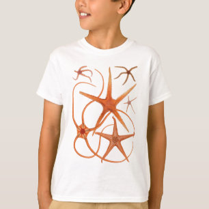 T-shirt Illustration vintage d'étoiles de mer