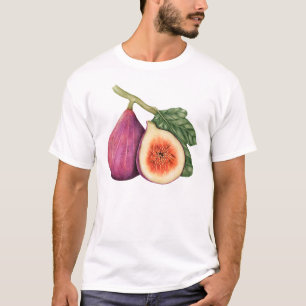 T-shirt Illustration vintage Fig