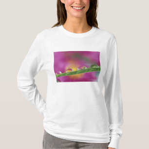 T-shirt Image de maîtres formés en gouttelettes d'eau