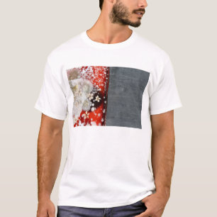 T-shirt Immortalité 2