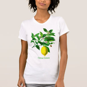 T-shirt Impression vintage de citron végétal