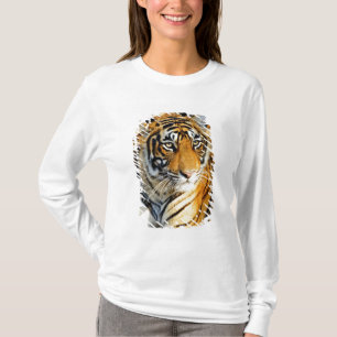 T-shirt Inde, Sawai Madhopur, Ranthambore National