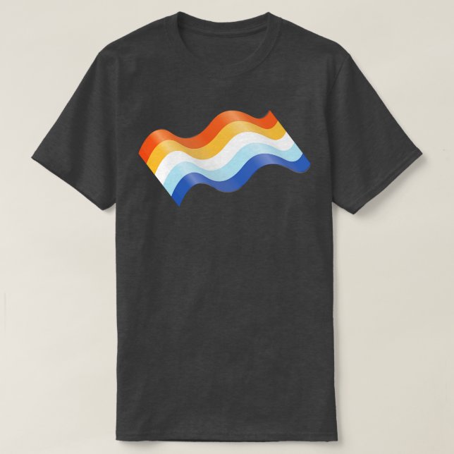 T-shirt Indicateur AroAce Pride (Design devant)