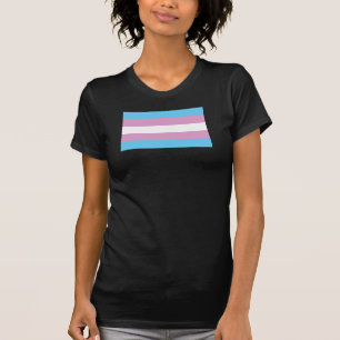 T-shirt Indicateur de la Trans Pride