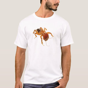 T-shirt Insecte de pomme de terre