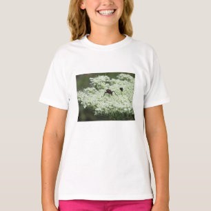T-shirt Insecte sur fleurs d'Elderflower