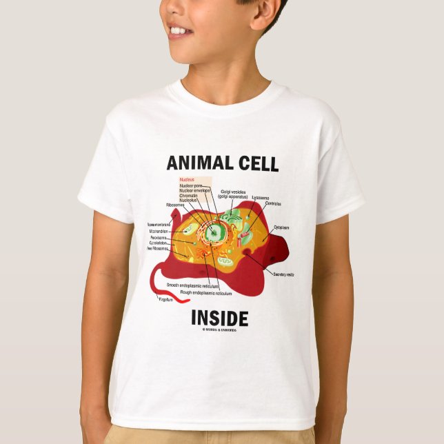 T-shirt Intérieur animal de cellules (biologie cellulaire (Devant)