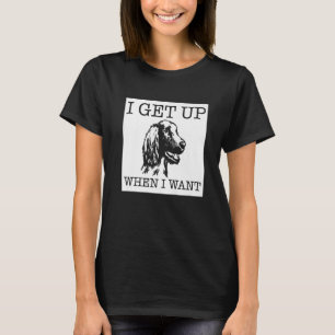 T-shirt Irish Setter dog 1