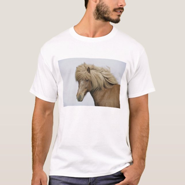 T-shirt Islande. Portrait de cheval islandais. (Devant)