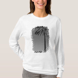 T-shirt Italie, Sicile, Agrigente, La Valle dei Templi, 3