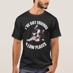 T-shirt J'ai des amis dans les endroits faibles Boston Ter