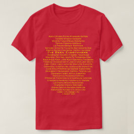 T-shirt J'ai été partout - une chemise MisterP