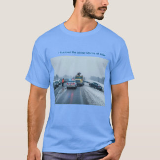 T-shirt J'ai survécu aux tempêtes hivernales de 2026