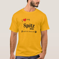 J'aime mon mélange de Spitz (le chien femelle)