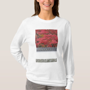 T-shirt Japon, Kyoto, Couleurs d'automne au temple Eikando