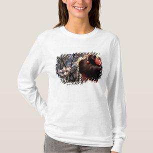 T-shirt Japon, Kyoto. Gros plan de geisha