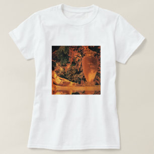 T-shirt : Jardin d'Allah Maxfield Parrish