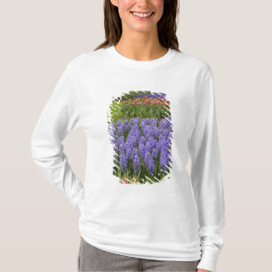 T-shirt Jardin de tulipes et de jacinthes, jardins de Keuk