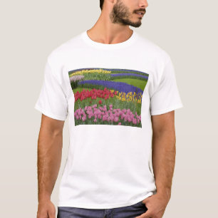 T-shirt Jardin de tulipes, Muscari et