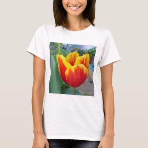 T-shirt Jardin fleuri de la Tulipe rouge et jaune Photo