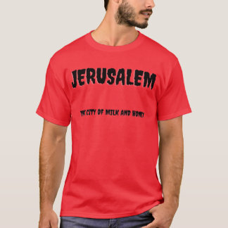 T-shirt Jérusalem la ville du lait et du miel garçon