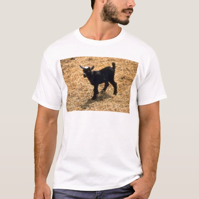 T-shirt Jeune chèvre de Pigmy (Devant)