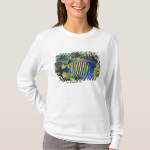 T-shirt Jeune Poisson-ange Royal Pygoplites