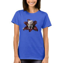 Jolie femme persane blanche chaton Lily