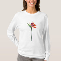 Jolie fleur