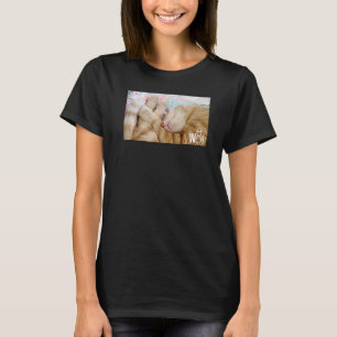 T-shirt Jolies choses pour chats pour filles aux chats fem