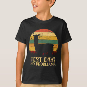 T-shirt Jour Pas de problème Silhouette Enseignant Gradua