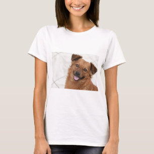 T-shirt Joyeux Chien Chien Chien Brown
