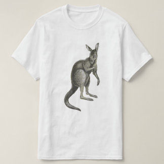 T-shirt Kangaroo Sketch Design Graphic Tee Shirt