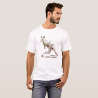 Kangourou mon animal d'esprit