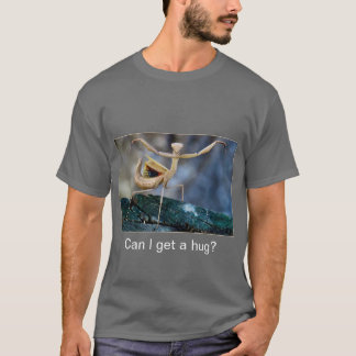 T-Shirt - Kann ich eine Umarmung haben?