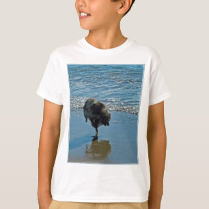 T-shirt Keeshond Ballet Photographie - Joli chien d'origin