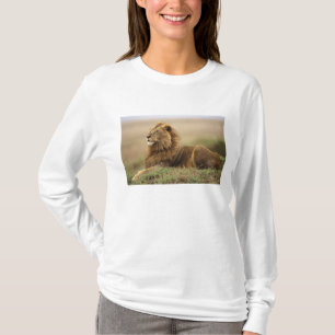 T-shirt Kenya, Masai Mara   Lion mâle