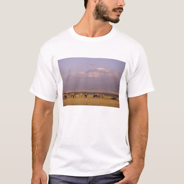 T-shirt Kenya : Parc national d'Amboseli, Eléphants (Devant)