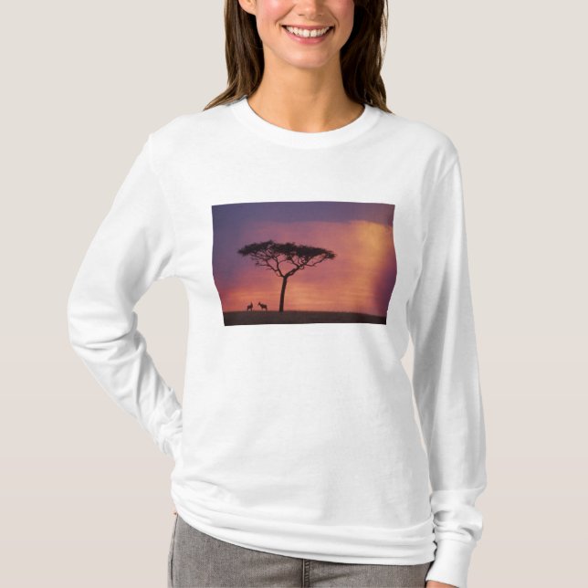 T-shirt Kenya : Parc national du Masai Mara, coucher du so (Devant)