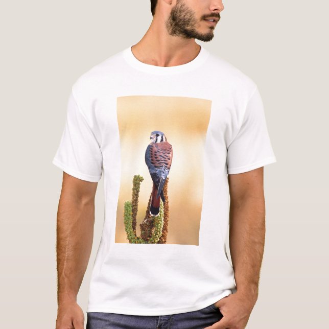 T-shirt Kestrel, Falco sparverius, Native de US & Canada (Devant)